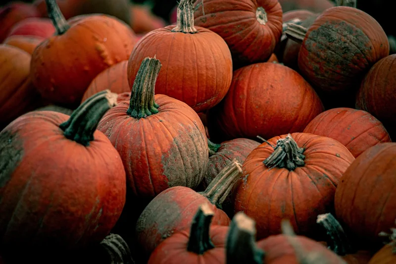 Les légumes d'automne : les rois de la soupe réconfortante