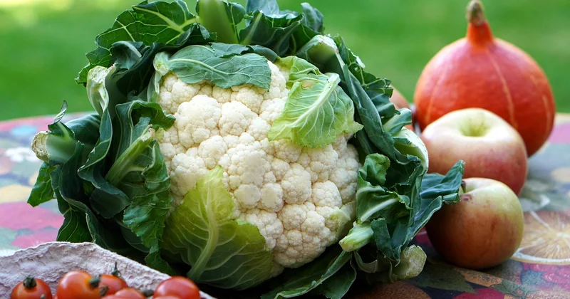Comment équilibrer une salade végétarienne sans cuisson ?