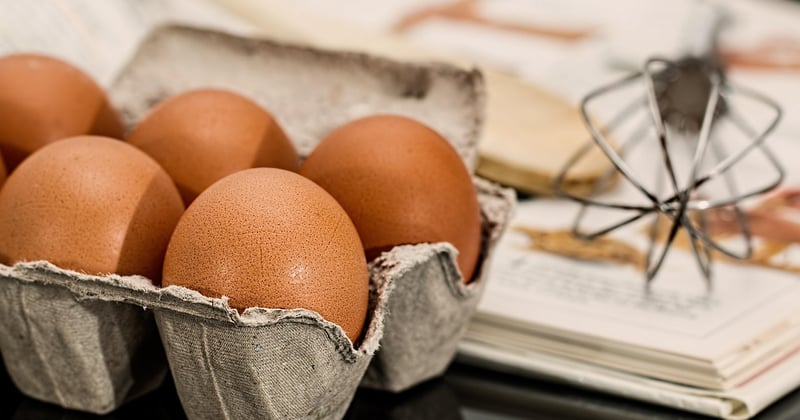 L’art de cuire des œufs parfaits : à la coque, mollets ou durs