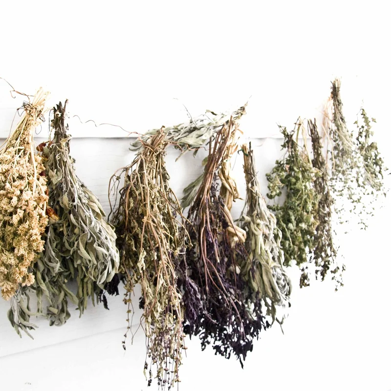 Conserver ses herbes pour l’hiver